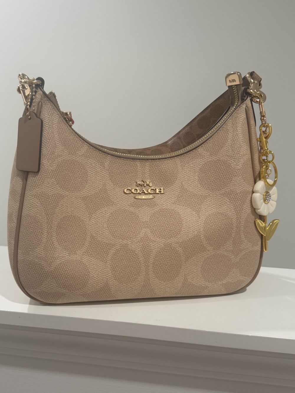 Coach Teri Hobo Signature Canvas - Like New
